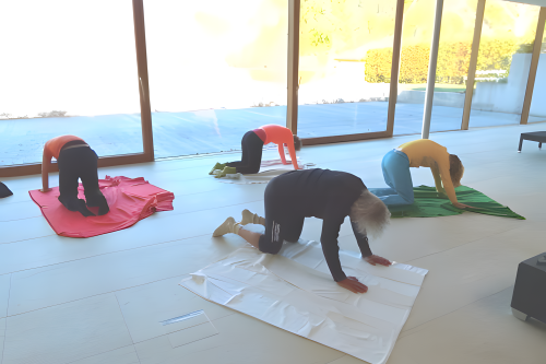 Bewegunscoaching Seminar